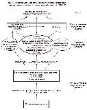 Рис. 16. Концептуальная схема взаимодействия факторов, определяющих пищевой статус, разработанная ЮНИСЕФ